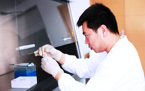 �Y�鰩�Y��ͻ�ơ�����һ��Ѫ���ɺY������Y��r