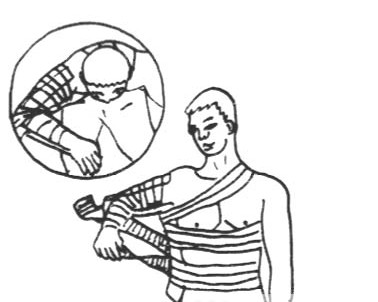 HOBO�ض�ӛ䛃x���t(y��)�W(xu��)����ϳɹ���(y��ng)�õİ���